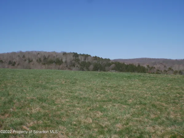 a view of a field with mountains in the background