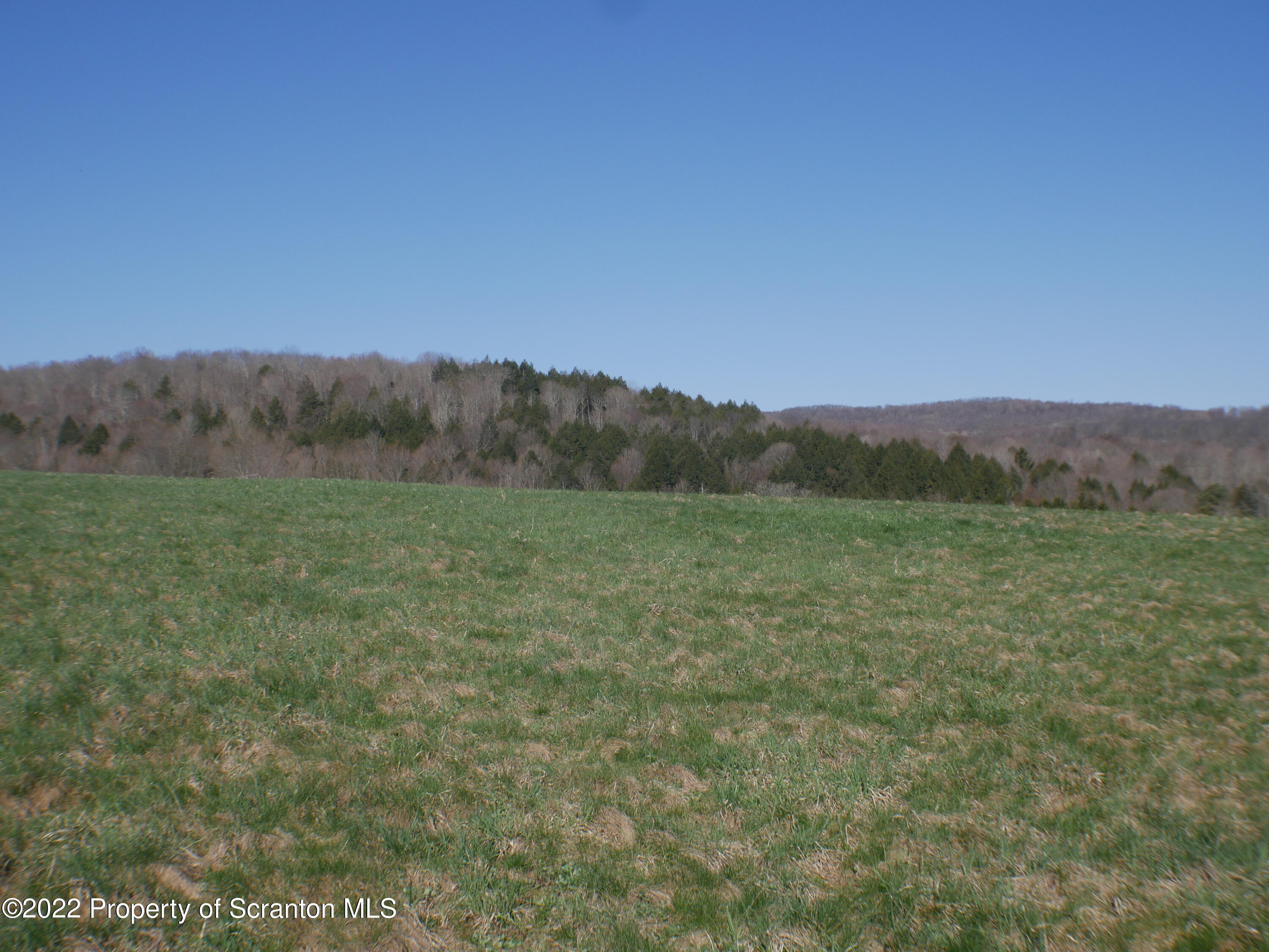 a view of a field with mountains in the background