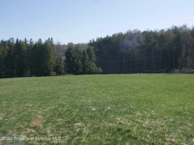 a view of a field with trees in the background
