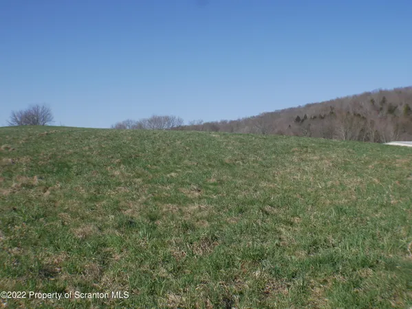 a view of a lush green mountain in the middle of a field