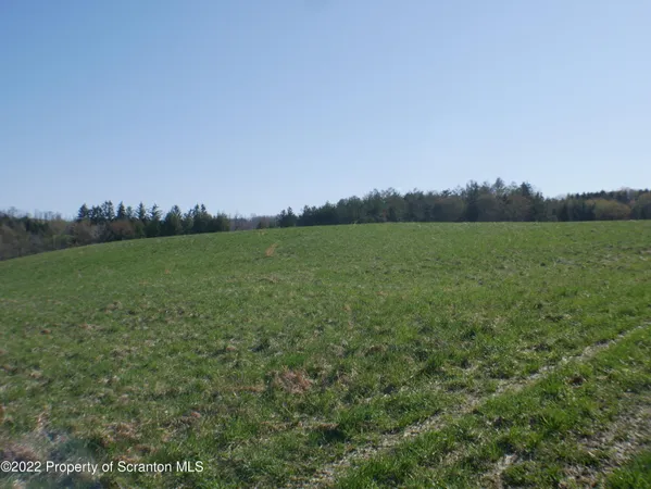 a view of a field with an ocean