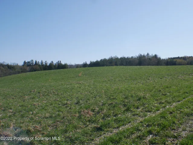 a view of a field with an ocean