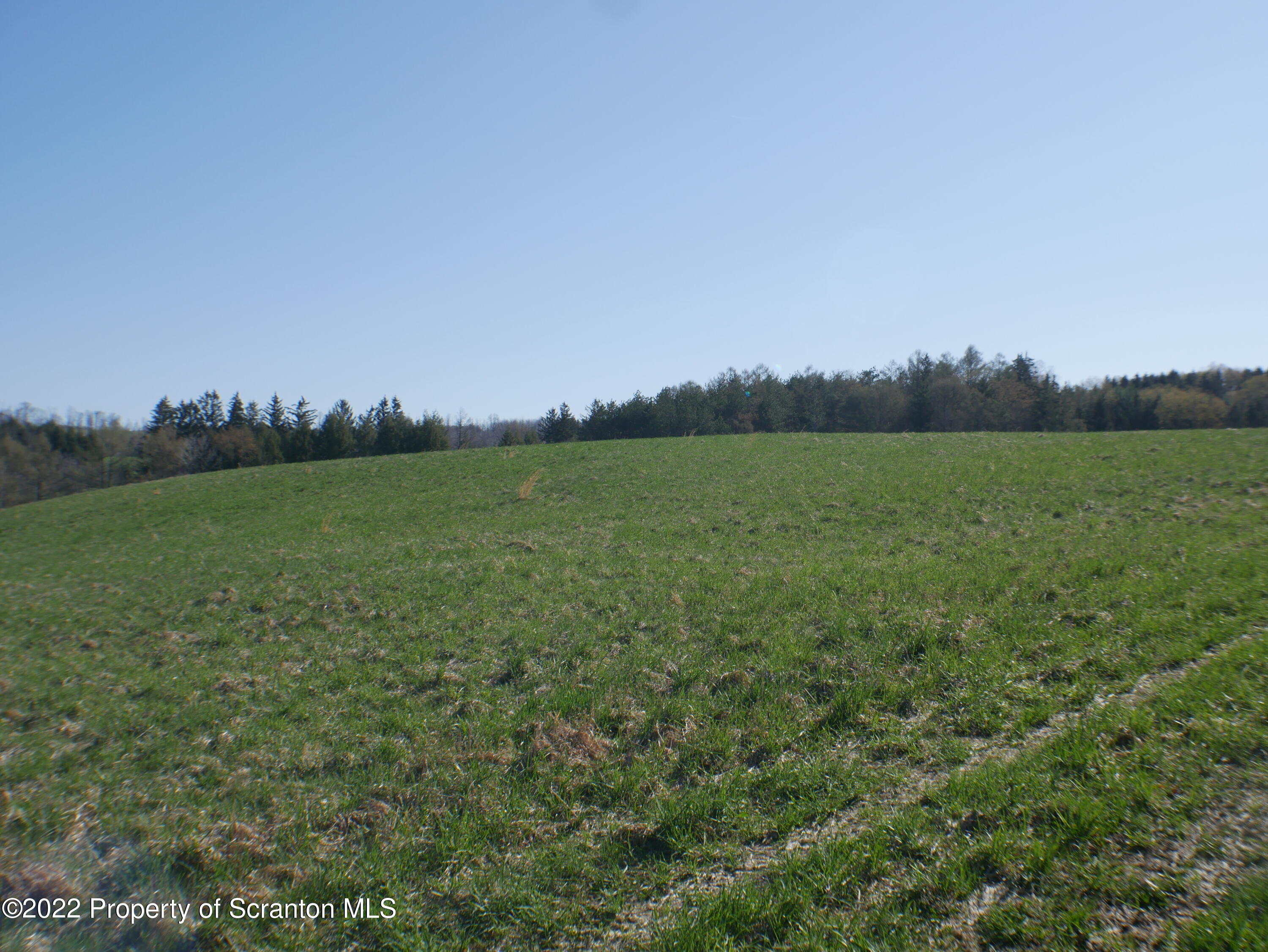 Bell Mountain Road Carbondale, PA 18407 - Photo 4 of 6 a view of a field with an ocean