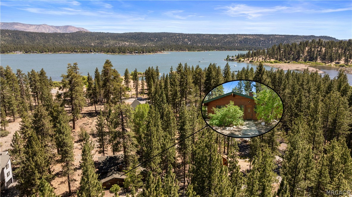39625 Flicker Road Fawnskin, CA 92333 - Photo 46 of 47