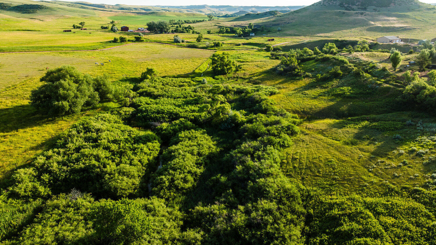 214 Meade Creek Road Sheridan, WY 82801 - Photo 33 of 90 033_dji_20250714071129_0146_d_745