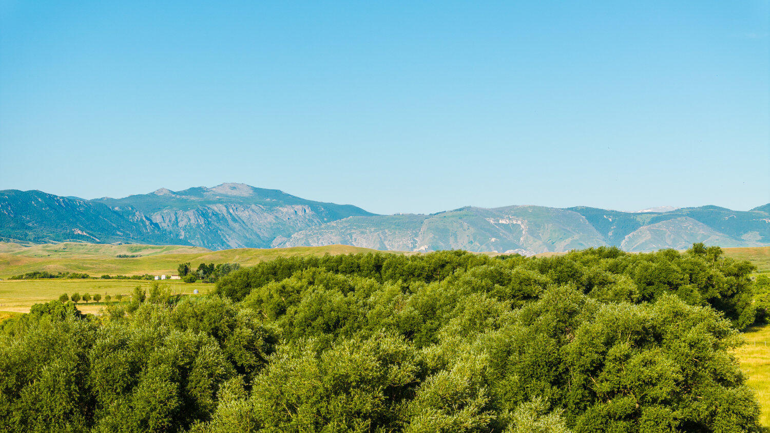 214 Meade Creek Road Sheridan, WY 82801 - Photo 35 of 90 035_dji_20250714072644_0150_d_755