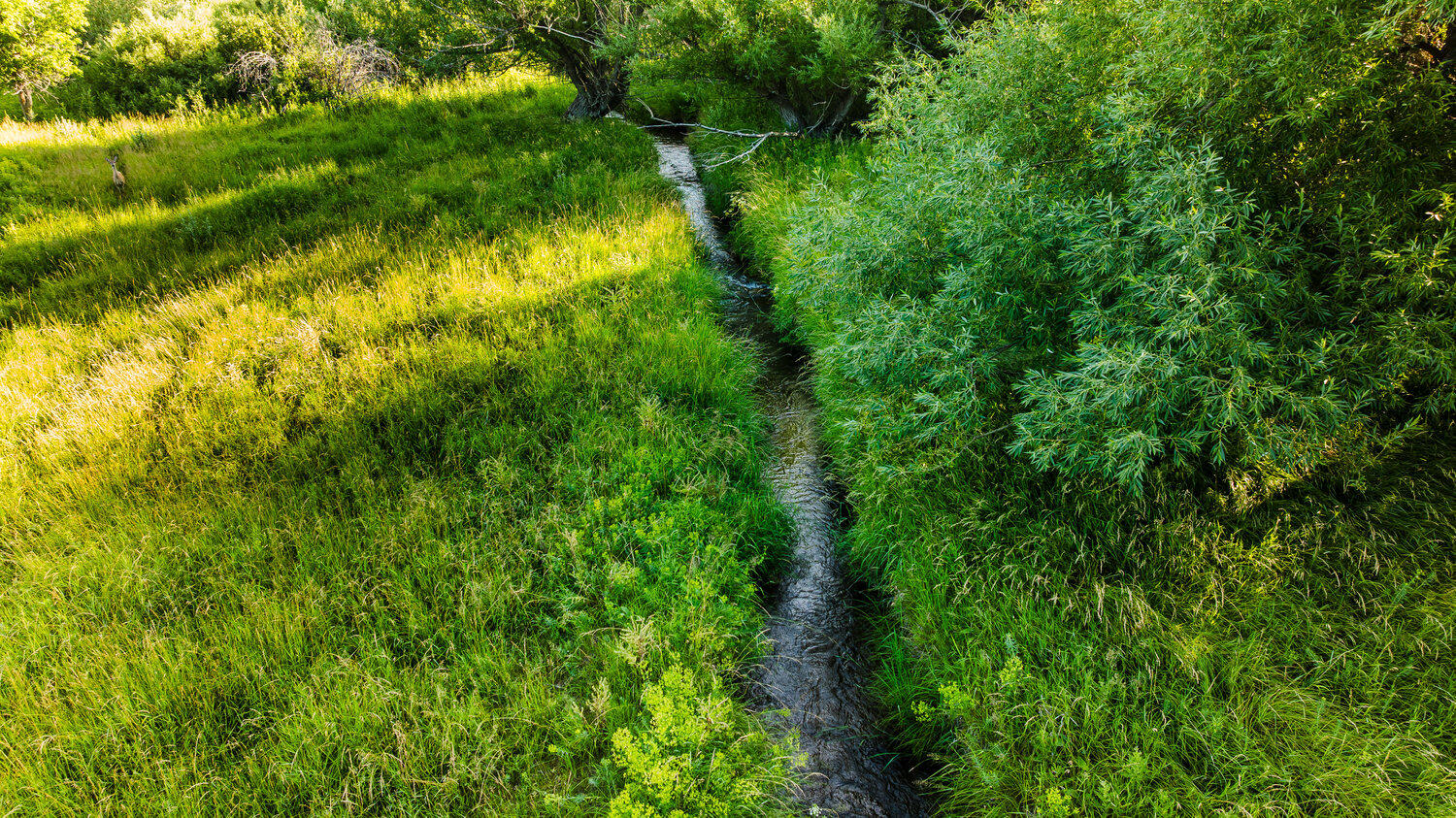 214 Meade Creek Road Sheridan, WY 82801 - Photo 36 of 90 036_dji_20250714072843_0155_d_73