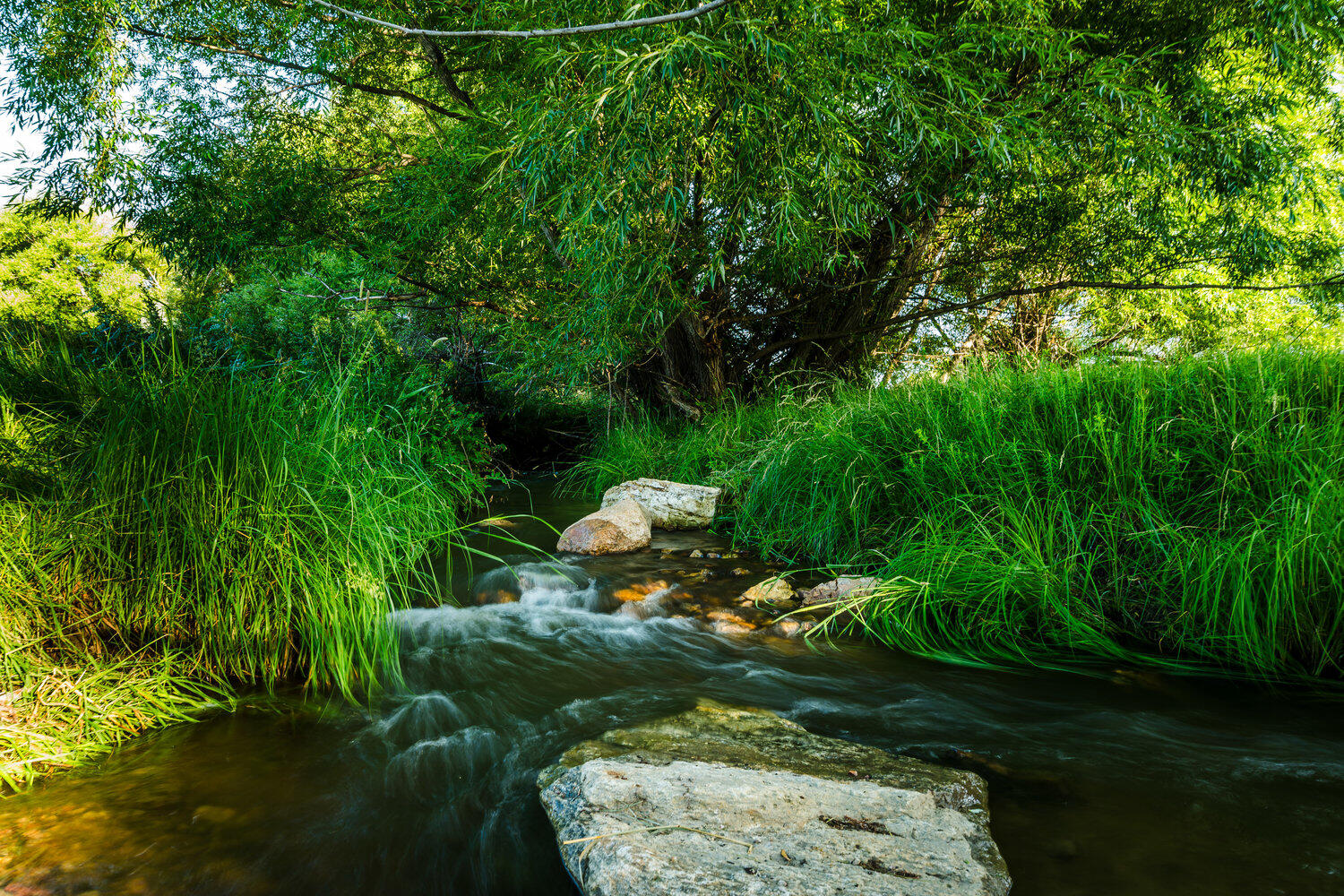 214 Meade Creek Road Sheridan, WY 82801 - Photo 78 of 90 078_dsc_7744_821