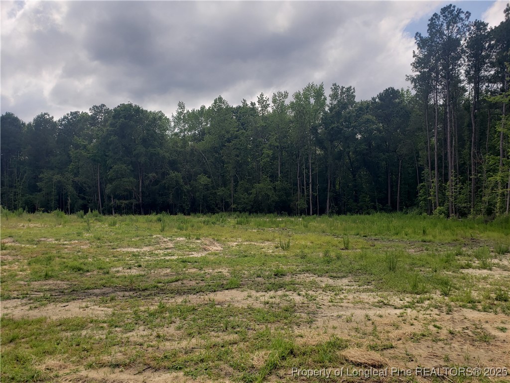 2950 H Clark Road Fayetteville, NC 28306 - Photo 6 of 36 Gallery Image 6