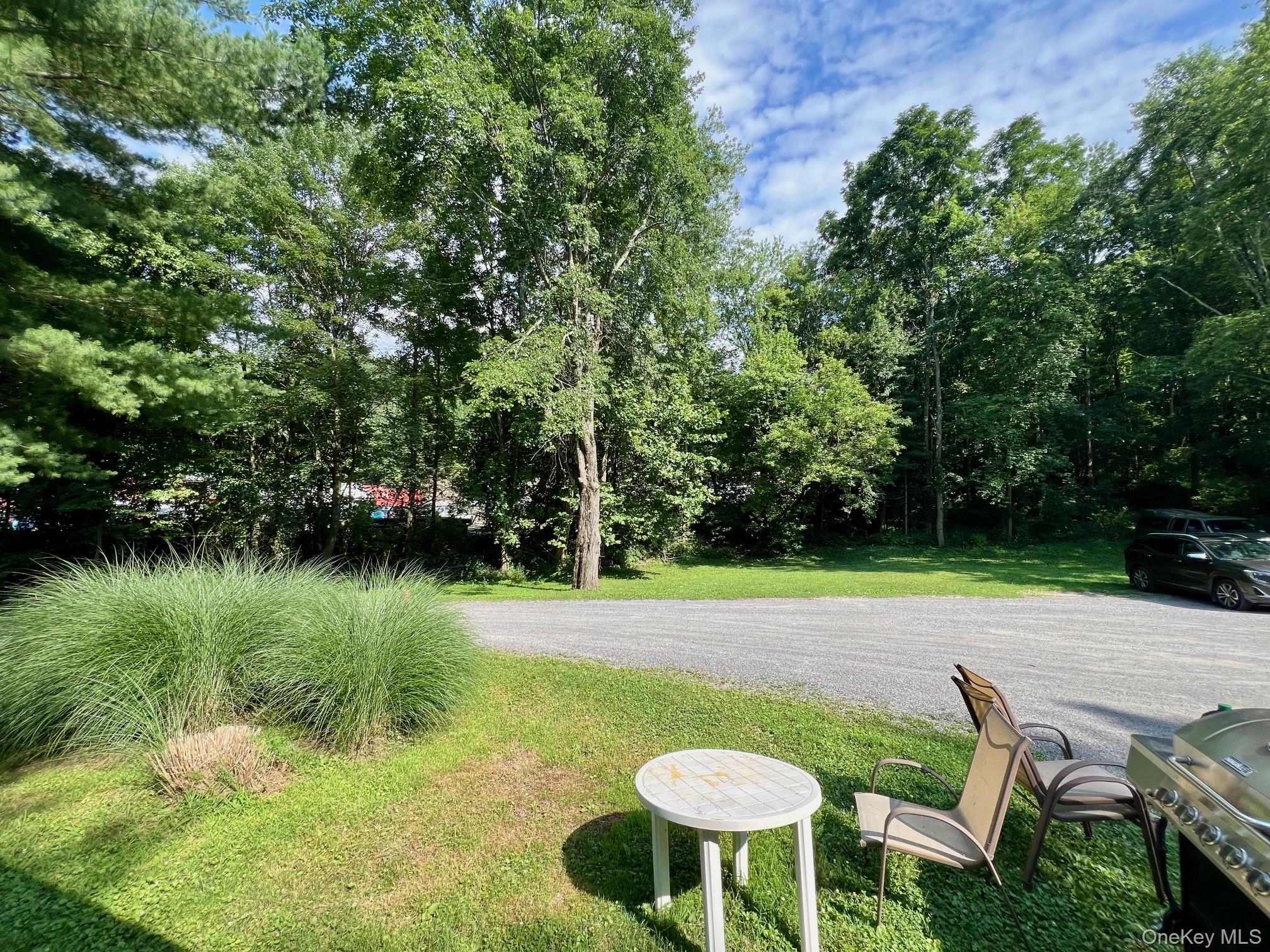 286 Crum Elbow Road, Unit 3 Hyde Park, NY 12538 - Photo 15 of 15 Parking for two cars