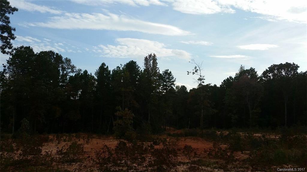7-ac Hunter Road Richburg, SC 29729 - Photo 2 of 8 Gallery Image 2