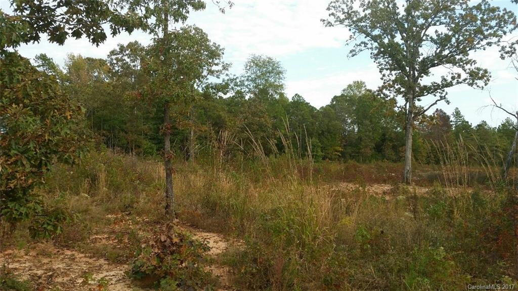 7-ac Hunter Road Richburg, SC 29729 - Photo 3 of 8 Gallery Image 3