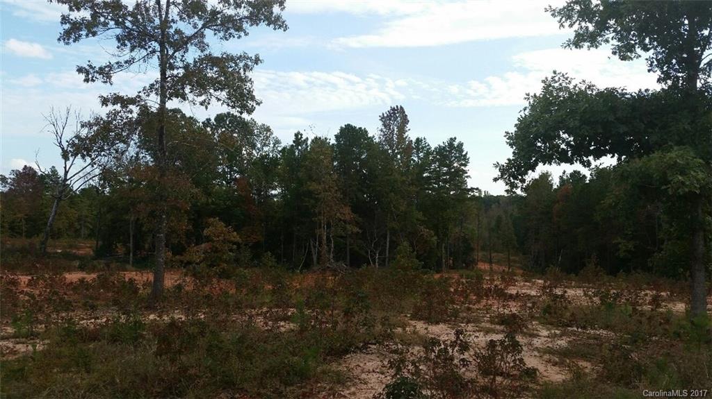 7-ac Hunter Road Richburg, SC 29729 - Photo 5 of 8 Gallery Image 5