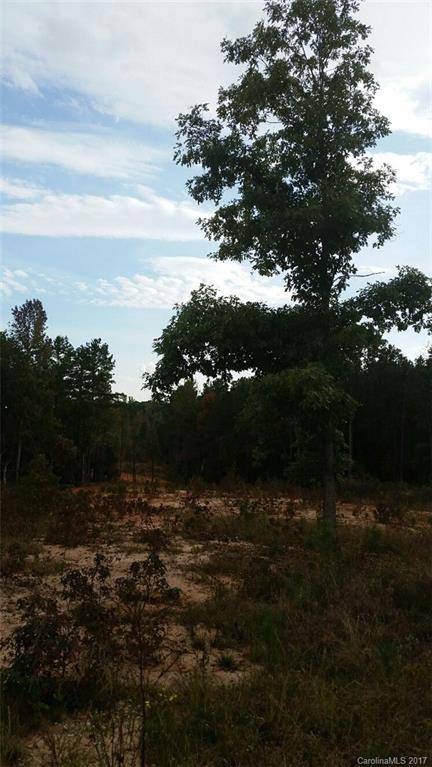 7-ac Hunter Road Richburg, SC 29729 - Photo 7 of 8 Gallery Image 7