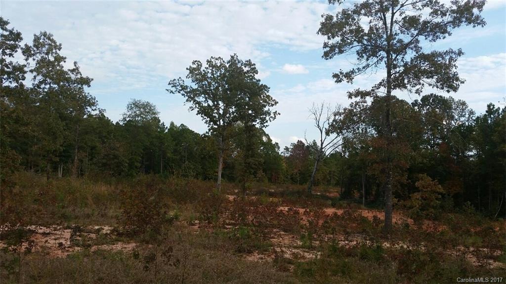 7-ac Hunter Road Richburg, SC 29729 - Photo 8 of 8 Gallery Image 8
