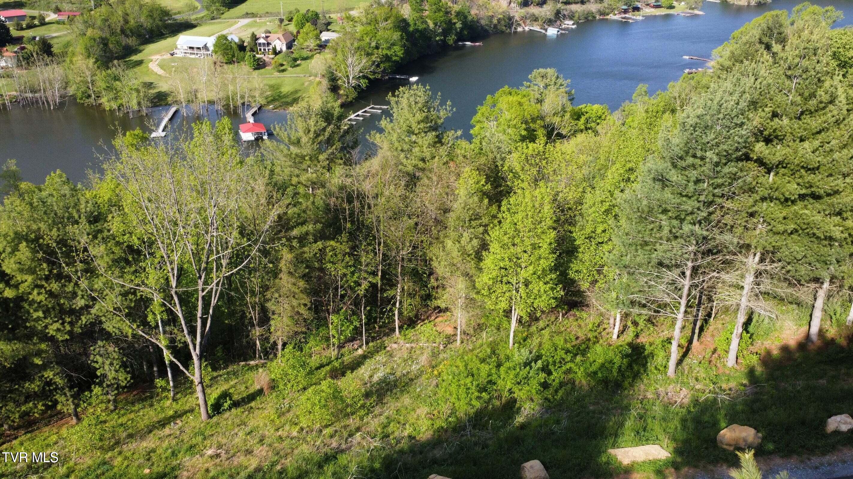 Lot 20 Cowan Town Road Butler, TN 37640 - Photo 14 of 25 20240304180107869503000000-o