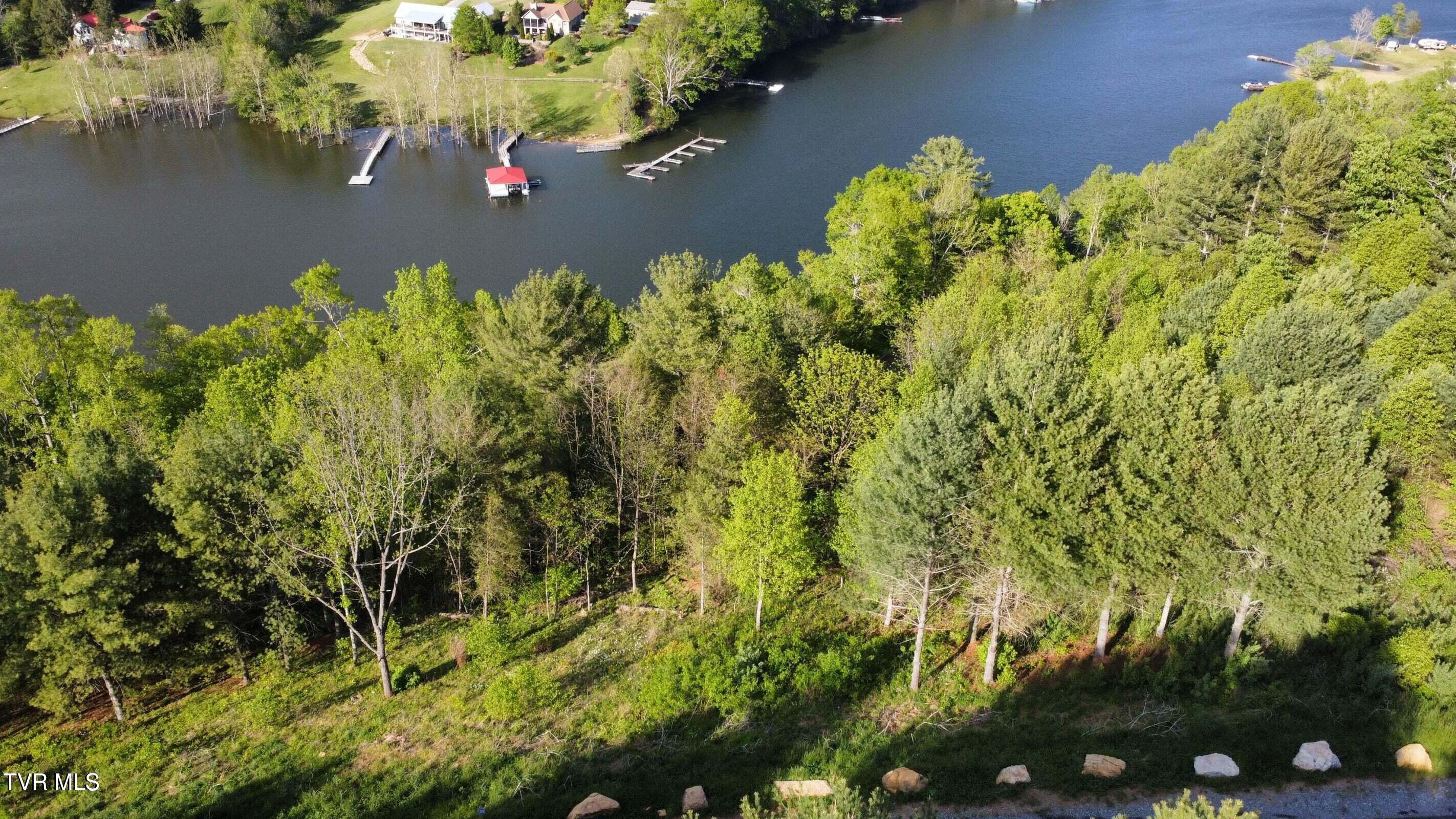 Lot 20 Cowan Town Road Butler, TN 37640 - Photo 16 of 25 20240304180151672779000000-o