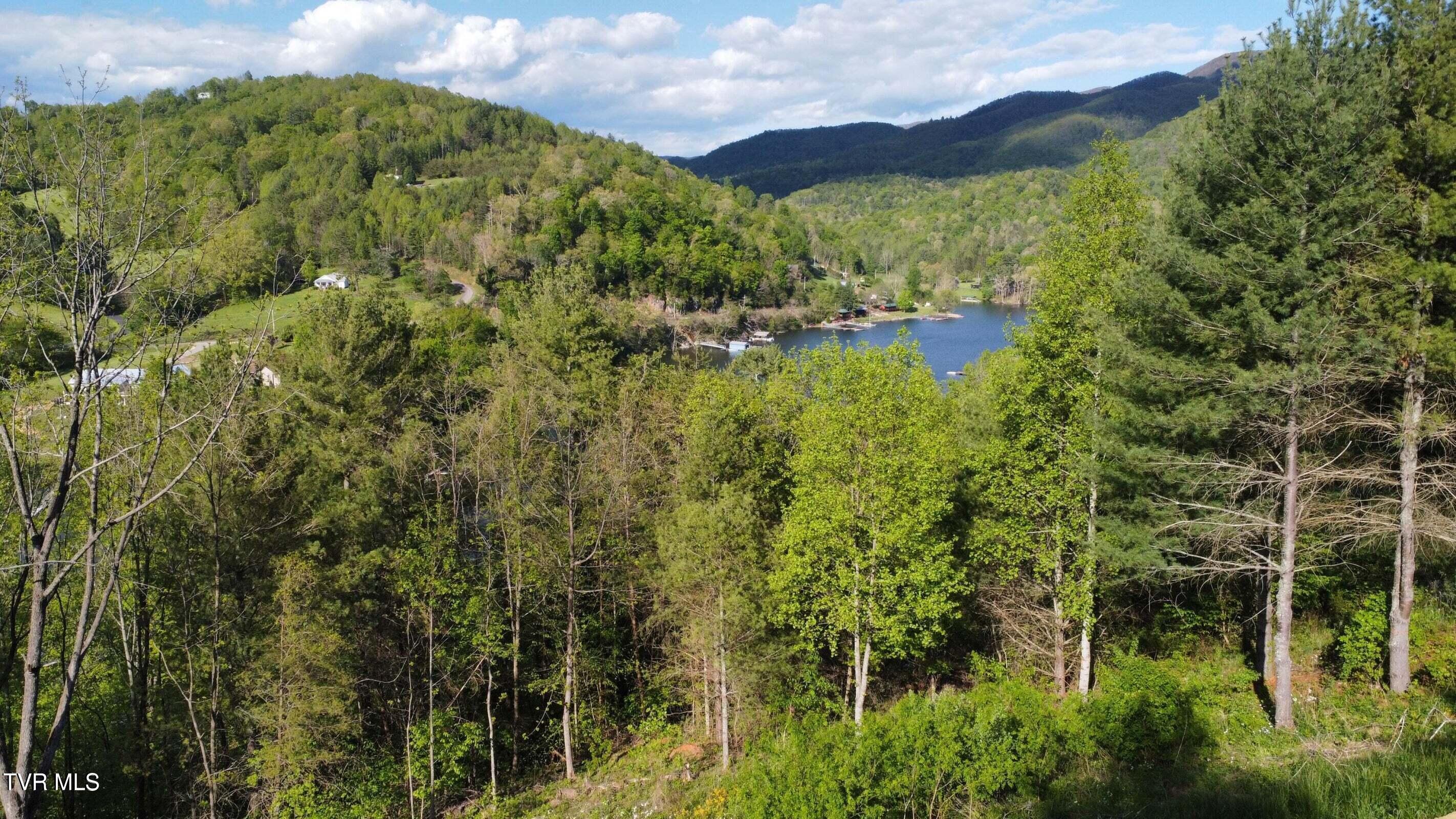 Lot 20 Cowan Town Road Butler, TN 37640 - Photo 5 of 25 20240304175912150959000000-o