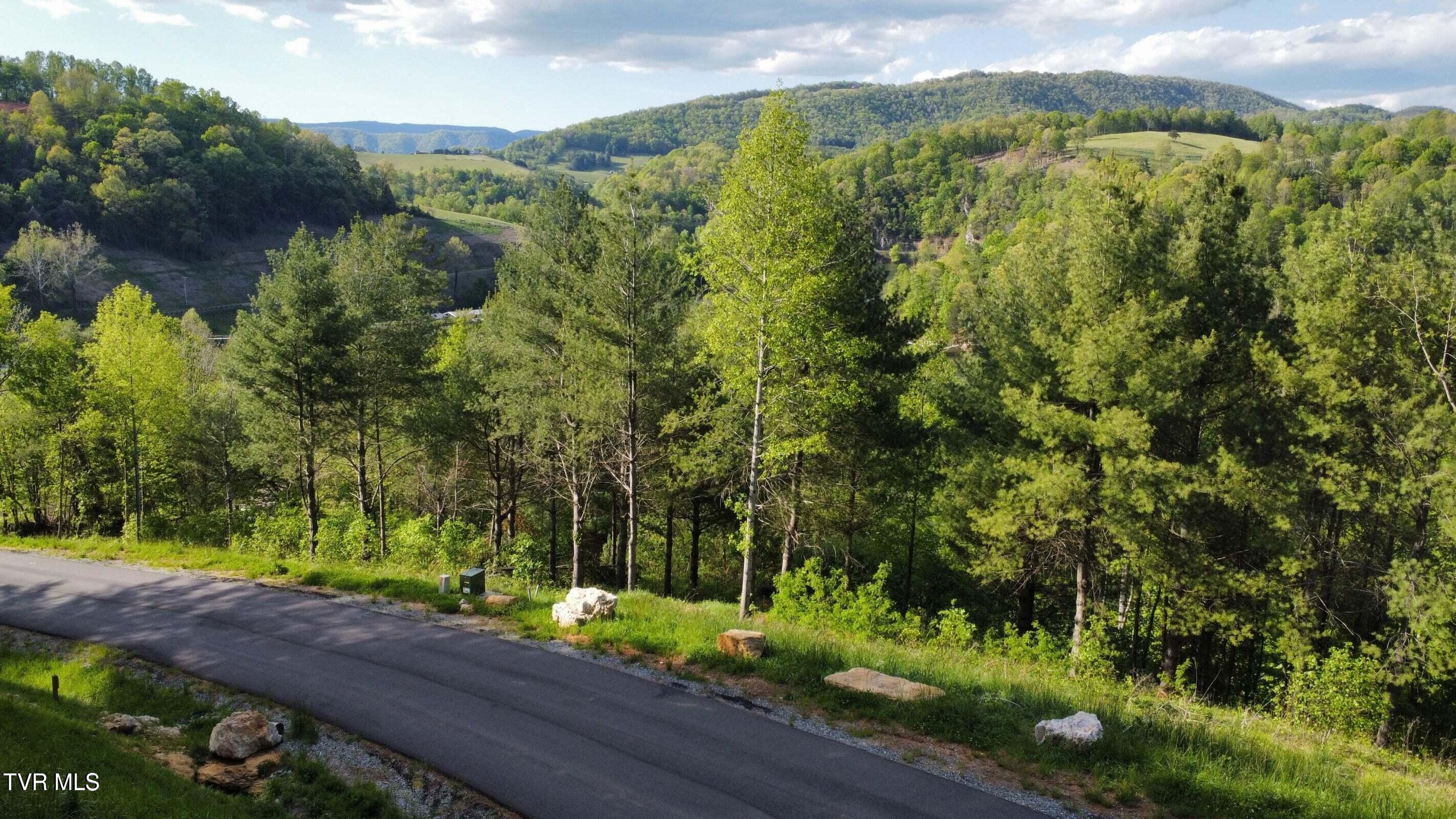 Lot 20 Cowan Town Road Butler, TN 37640 - Photo 6 of 25 20240304175922585353000000-o