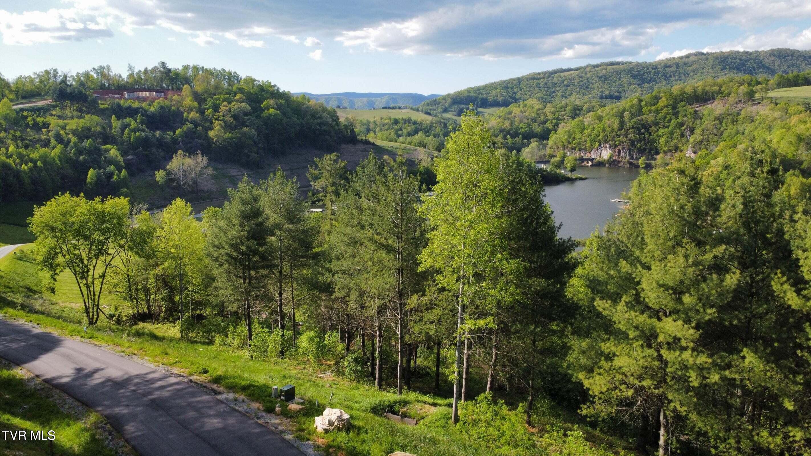 Lot 20 Cowan Town Road Butler, TN 37640 - Photo 7 of 25 20240304175945620620000000-o