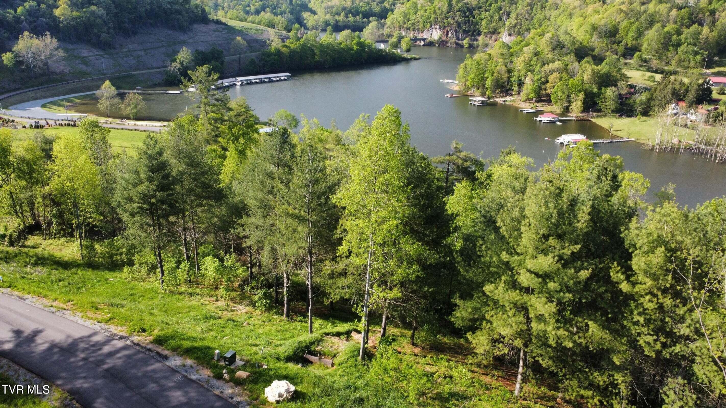 Lot 20 Cowan Town Road Butler, TN 37640 - Photo 8 of 25 20240304175957120949000000-o