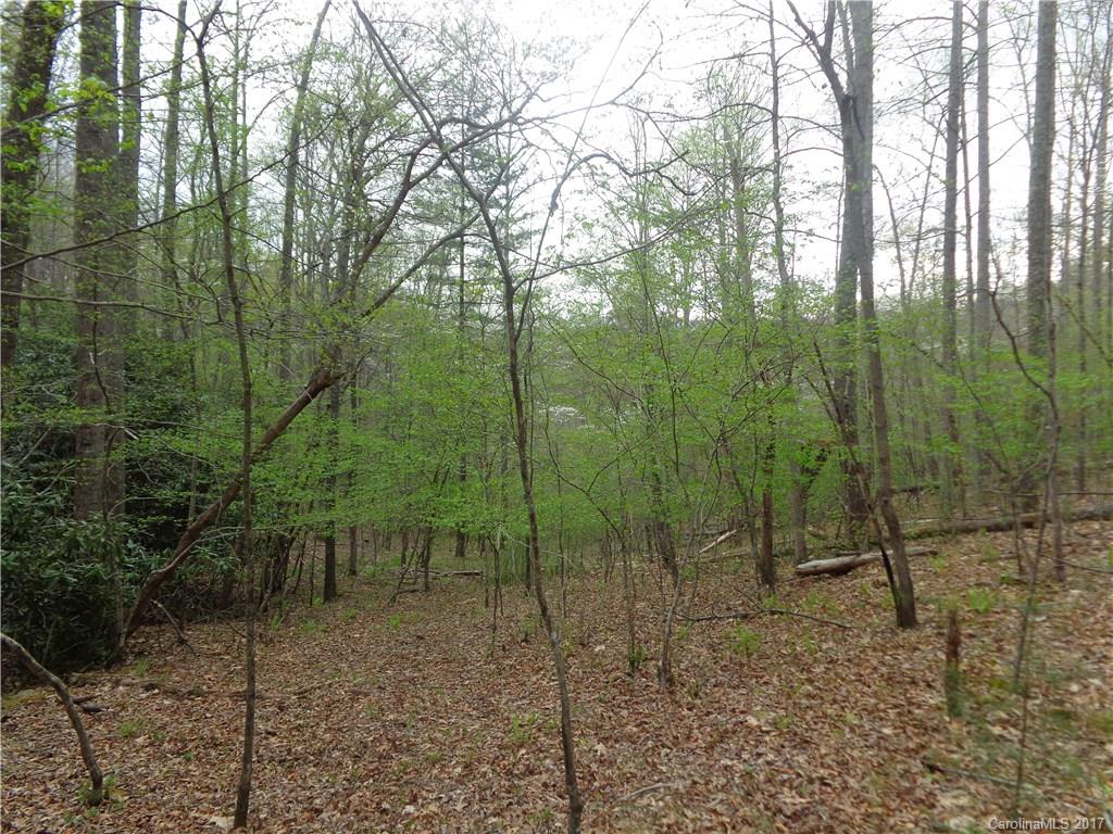 380 Bennett Road Candler, NC 28715 - Photo 11 of 23 Gallery Image 11