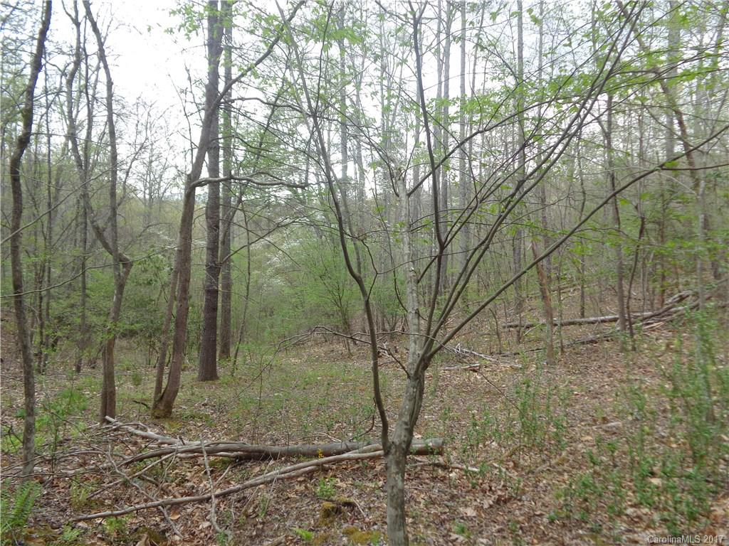 380 Bennett Road Candler, NC 28715 - Photo 12 of 23 Gallery Image 12