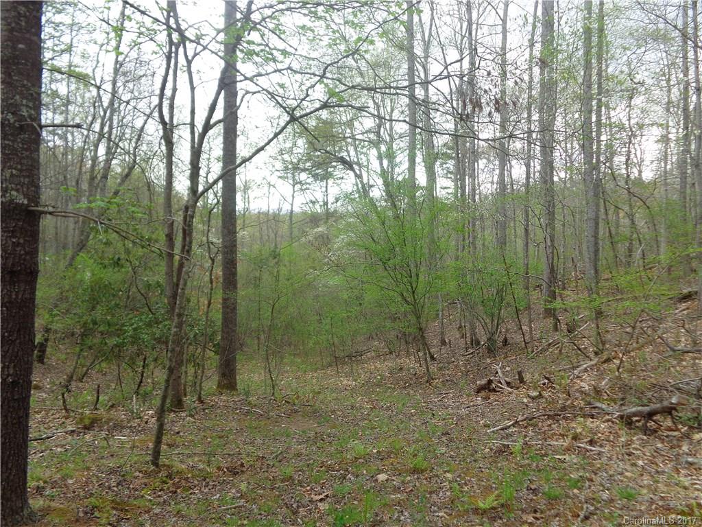 380 Bennett Road Candler, NC 28715 - Photo 13 of 23 Gallery Image 13