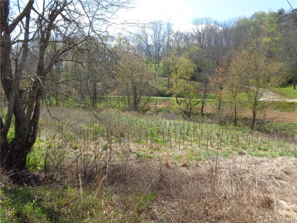380 Bennett Road Candler, NC 28715 - Photo 16 of 23 Gallery Image 16