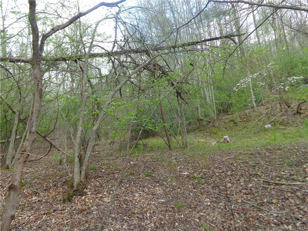 380 Bennett Road Candler, NC 28715 - Photo 7 of 23 Gallery Image 7