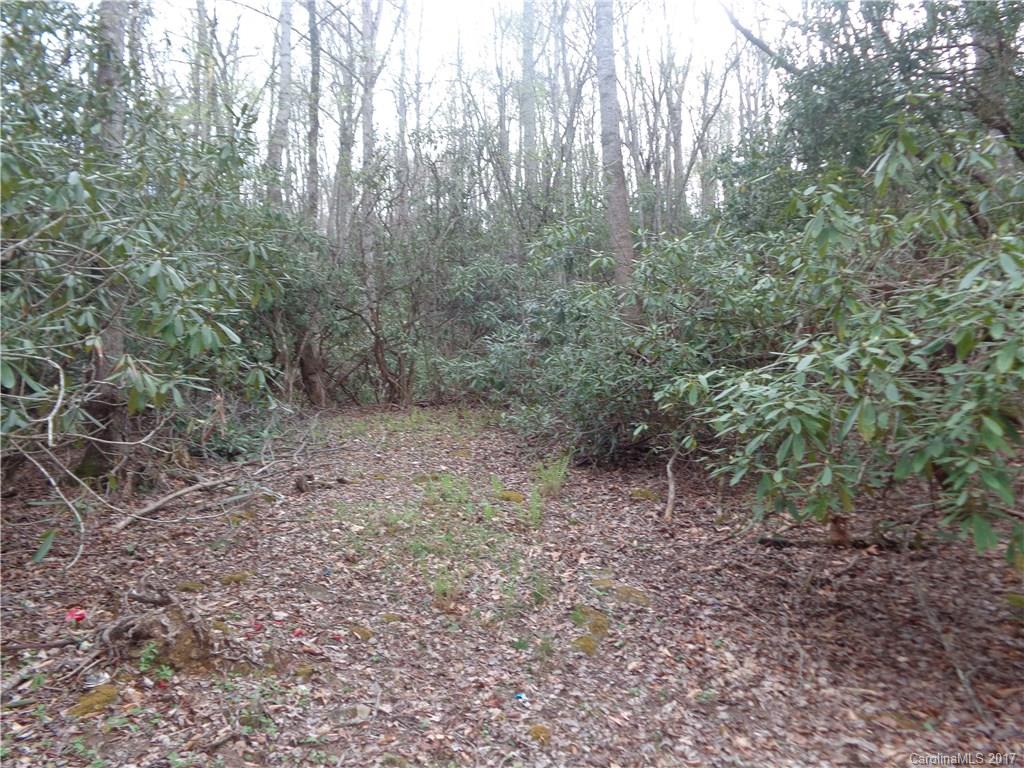 380 Bennett Road Candler, NC 28715 - Photo 9 of 23 Gallery Image 9