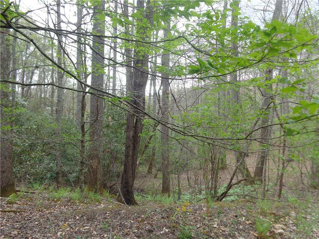 380 Bennett Road Candler, NC 28715 - Photo 10 of 23 Gallery Image 10