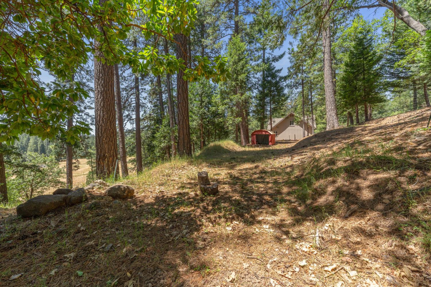 5341 Edelweiss Way Pollock Pines, CA 95726 - Photo 34 of 48