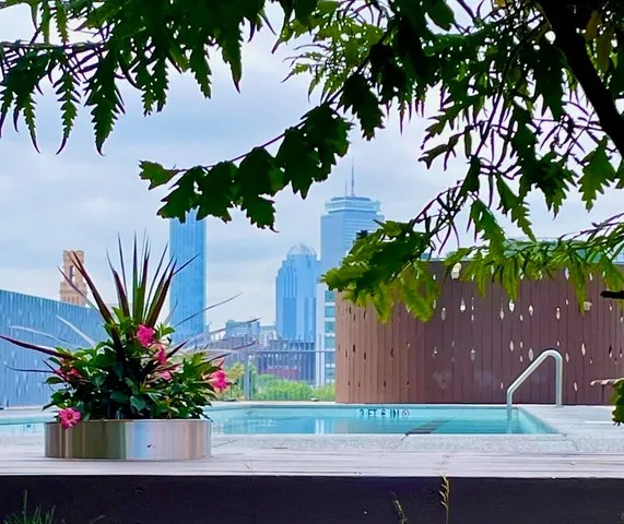 a flower plants with wooden fence
