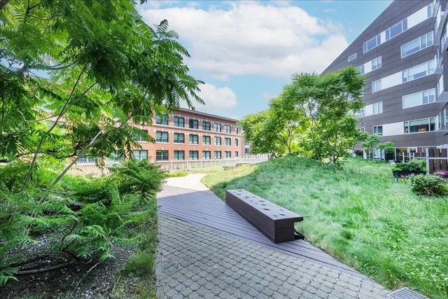 a view of a patio with plants and large trees