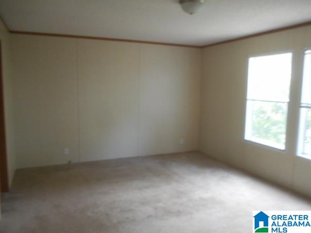 294 Cove Acres Road Odenville, AL 35120 - Photo 5 of 8