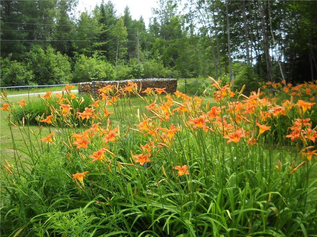 1939 Edinburg Road Old Town, ME 04468 - Photo 26 of 27 Photo