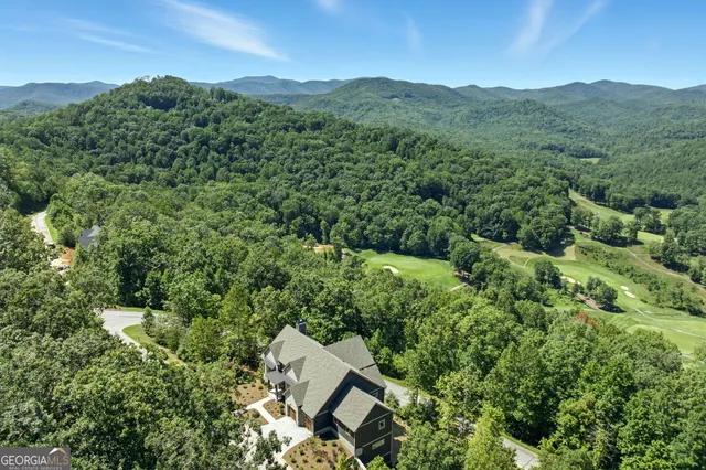 an aerial view of residential houses with outdoor space and trees