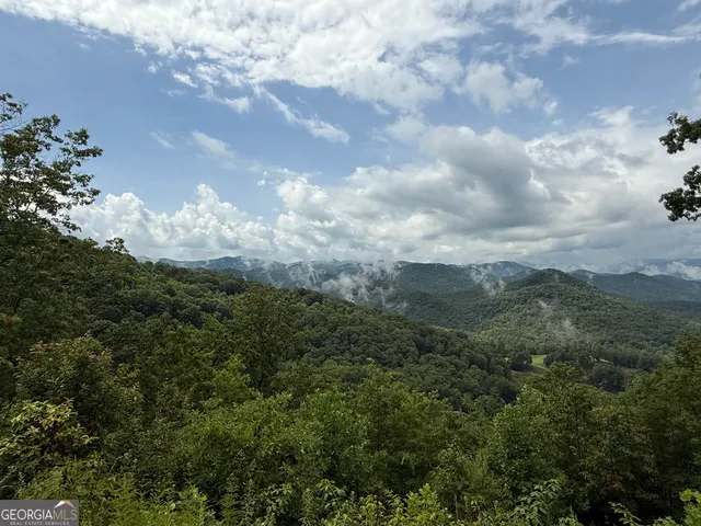 $2,749,000 | 608 Winterberry Trail, Clayton, GA 30525