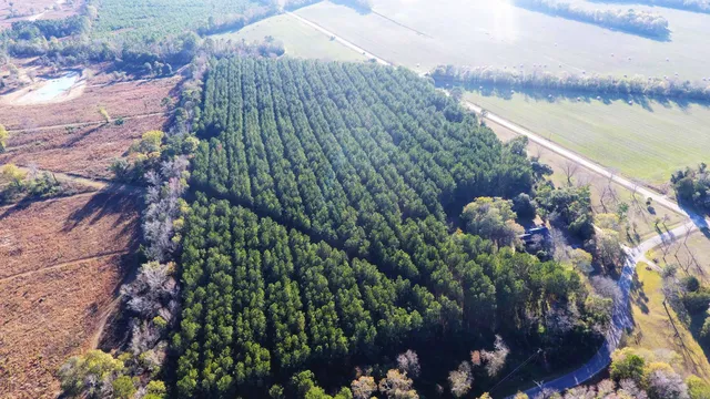 $208,390 | 0 Broughton (lot E) Lane, Eutawville, SC 29048