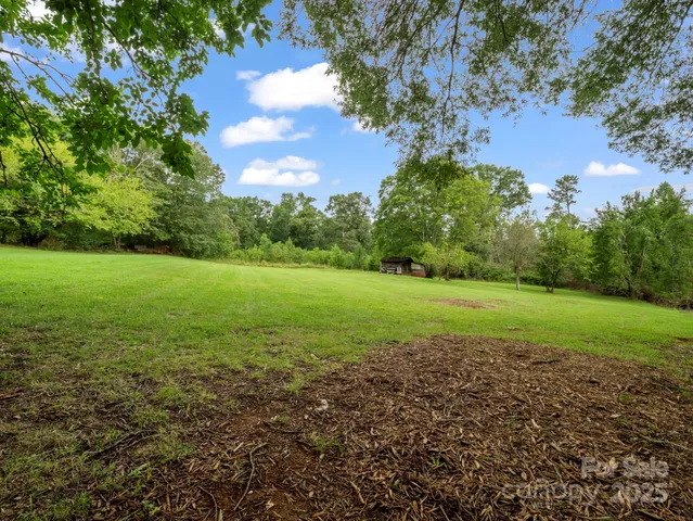 a view of a field with a tree