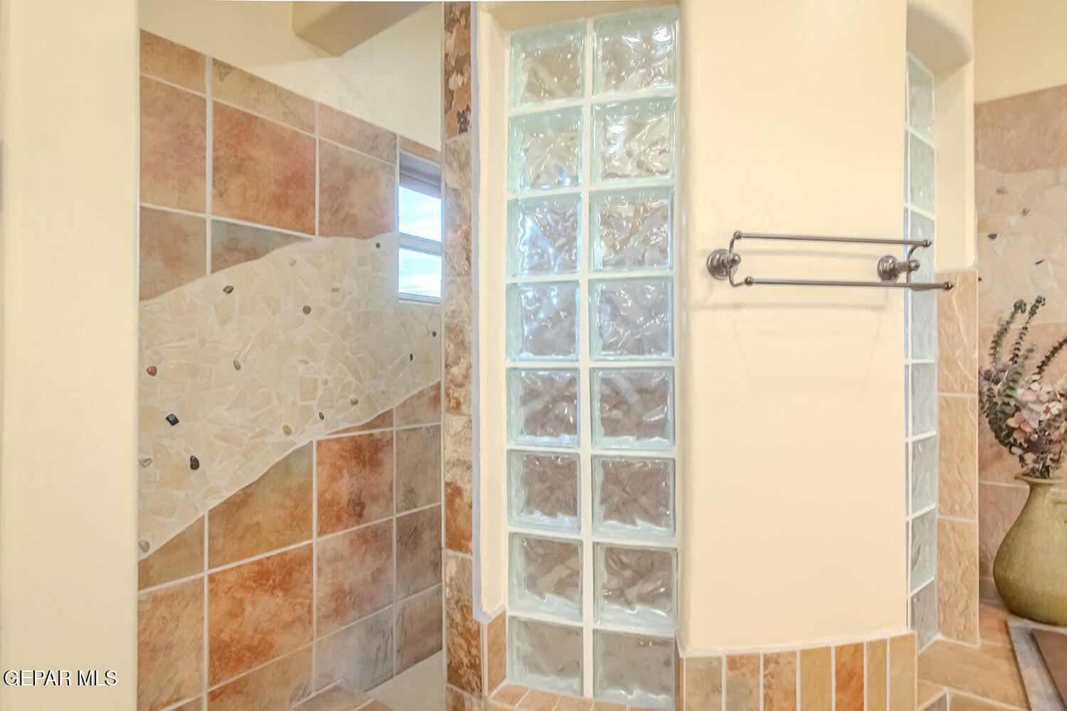 6 Cielo Del Este Anthony, NM 88021 - Photo 72 of 75 6 Cielo Del Este _ 072