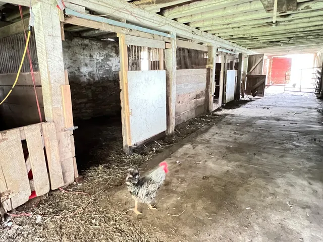 $700,000 | 29572 Morgan Road, Wykoff, MN 55990