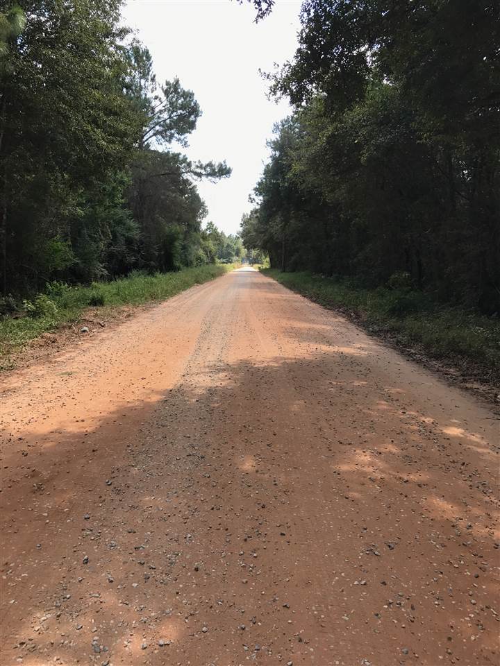 Brantley Lane Foley, AL 36535 - Photo 2 of 3