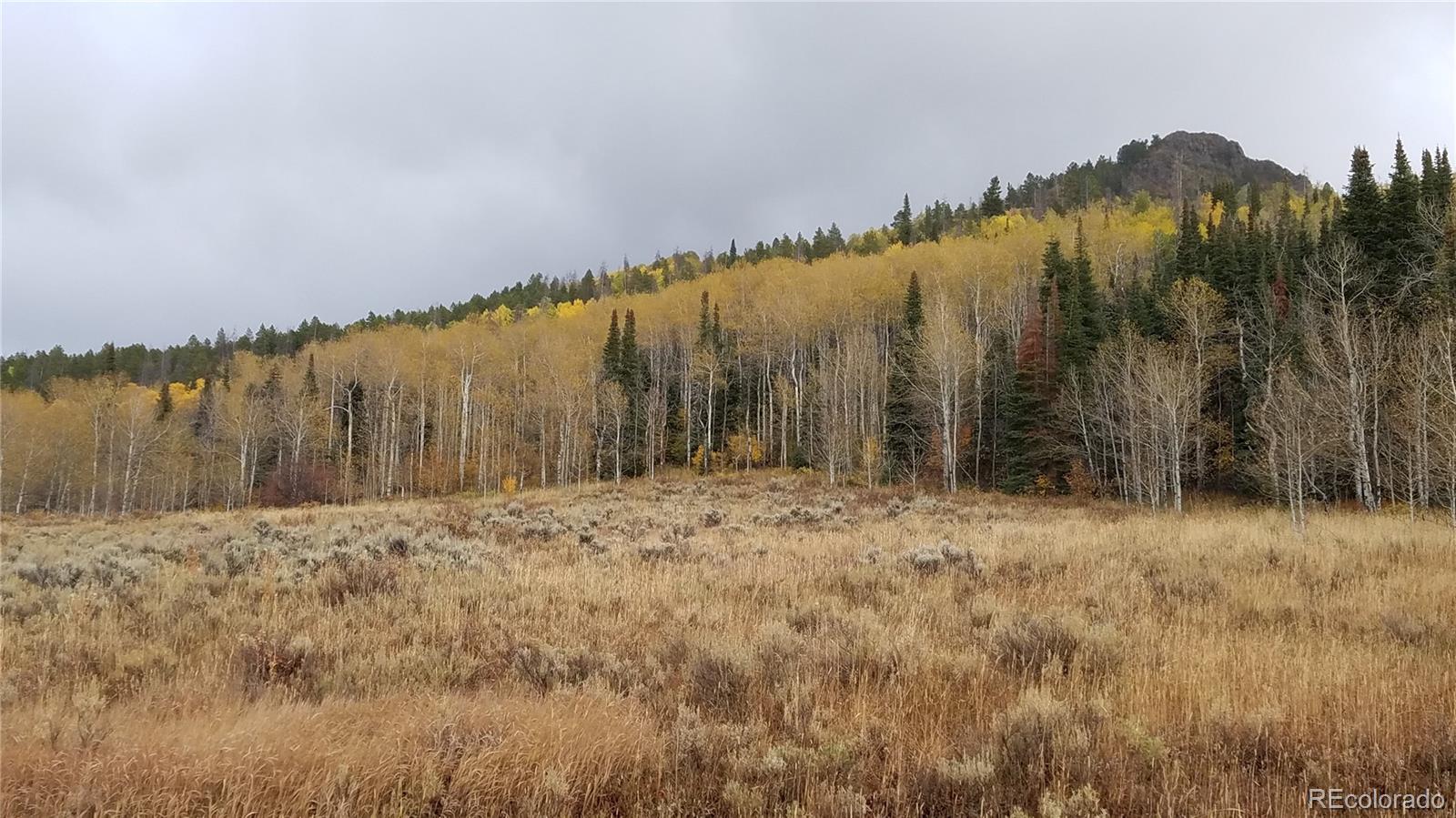 23895 Arapahoe Road Oak Creek, CO 80467 - Photo 2 of 3