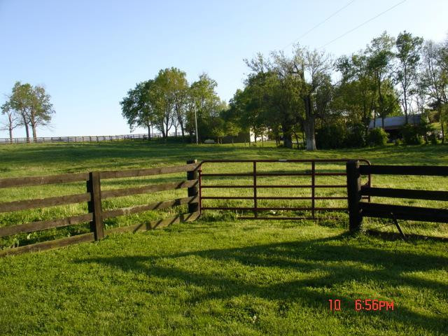 161 Stoney Point Road Paris, KY 40361 - Photo 85 of 96 Photo 88