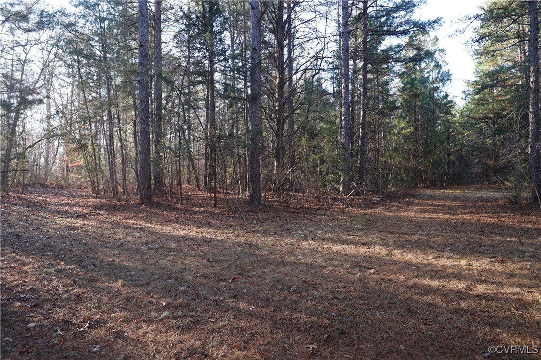 2524 Hayes Mill Road Baskerville, VA 23915 - Photo 12 of 50 Gallery Image 12