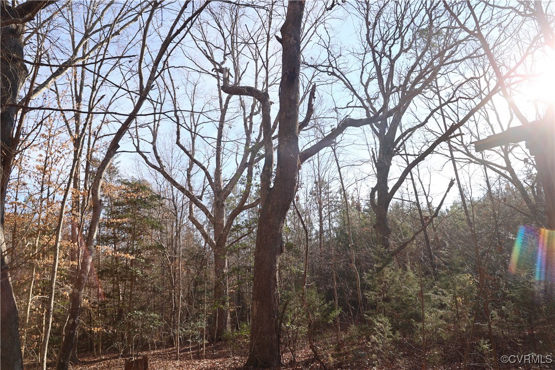 2524 Hayes Mill Road Baskerville, VA 23915 - Photo 13 of 50 Gallery Image 13