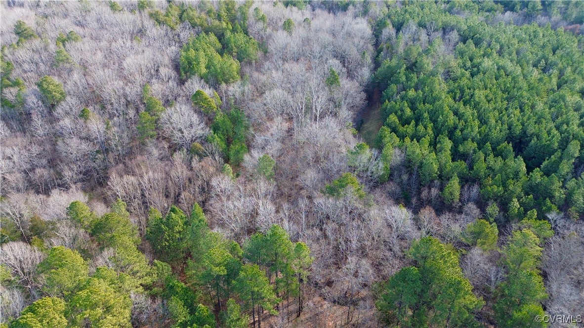 2524 Hayes Mill Road Baskerville, VA 23915 - Photo 14 of 50 Gallery Image 14