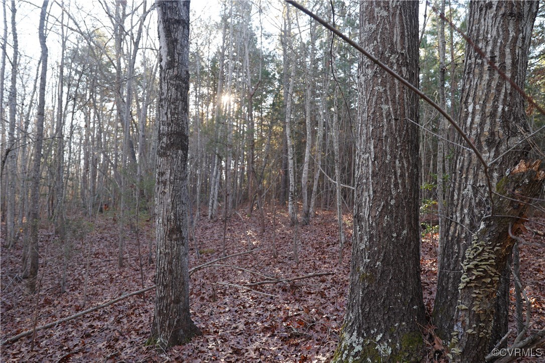 2524 Hayes Mill Road Baskerville, VA 23915 - Photo 15 of 50 Gallery Image 15